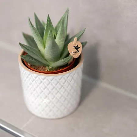 Gaestehaus Heimelig 3*